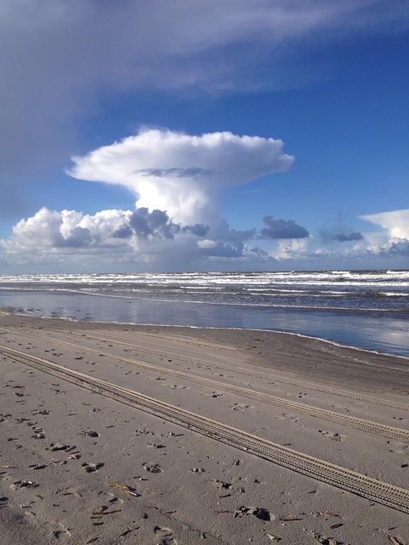 Dune Bep Schiermonnikoog Zewnętrze zdjęcie