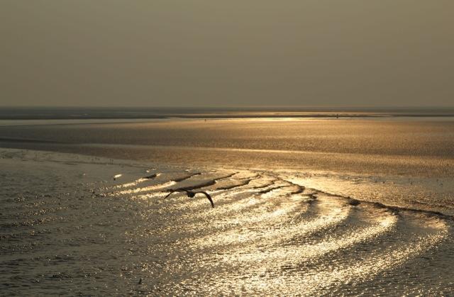 Dune Bep Schiermonnikoog Zewnętrze zdjęcie