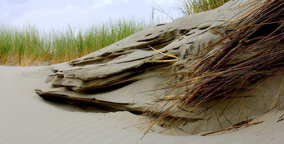 Dune Bep Schiermonnikoog Zewnętrze zdjęcie